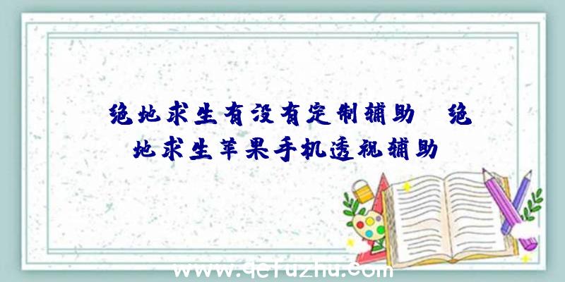 「绝地求生有没有定制辅助」|绝地求生苹果手机透视辅助